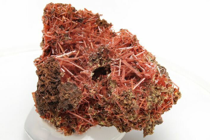Bright Orange Crocoite Crystal Cluster - Tasmania #218749